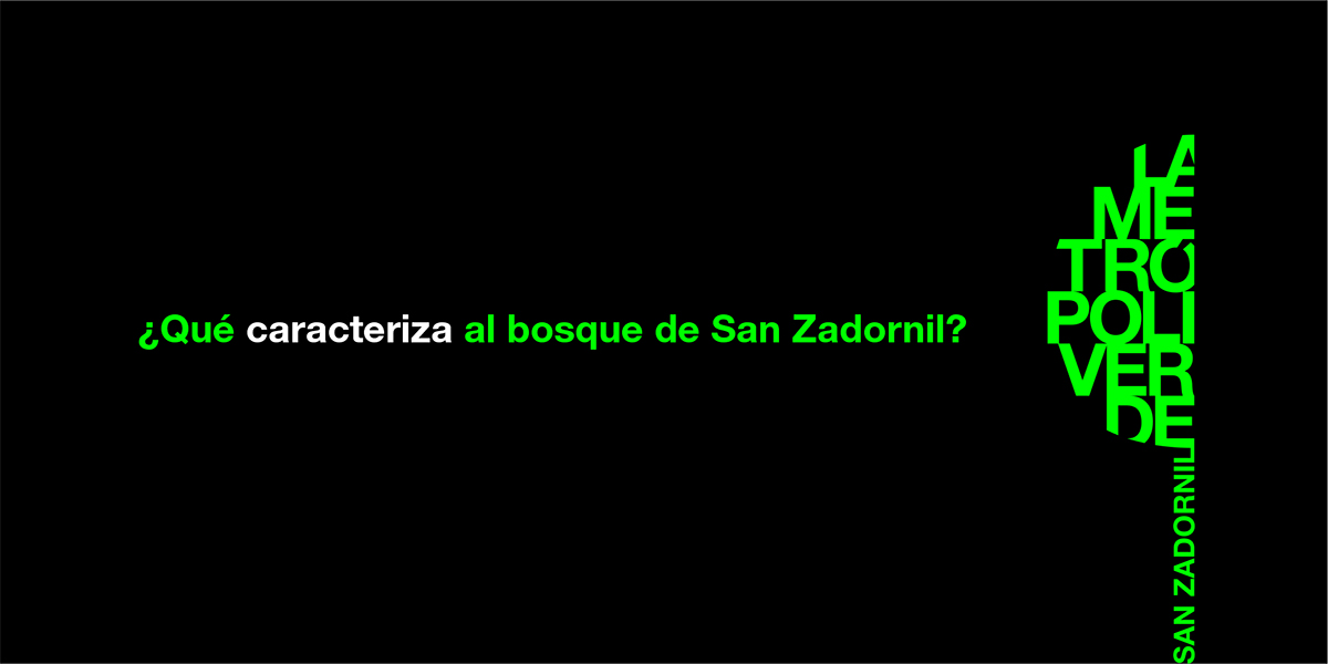 LA METROPOLI VERDE ESTRATEGIA COMUNICATIVA 02