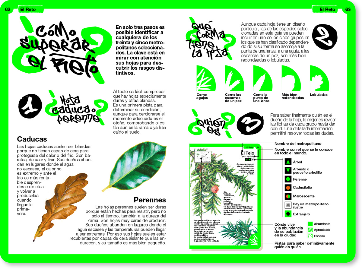 LA METROPOLI VERDE GUIA DE VIAJE 014