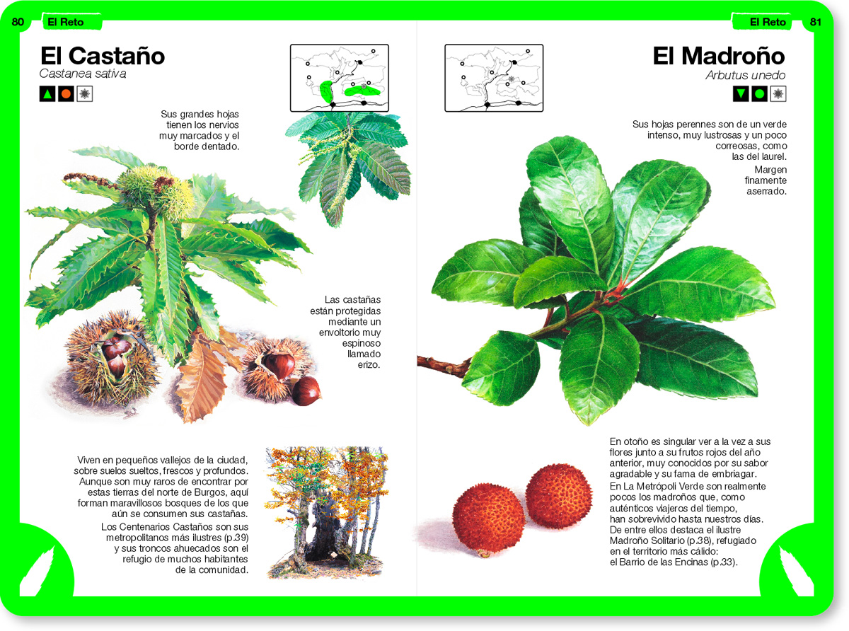 LA METROPOLI VERDE GUIA DE VIAJE 017