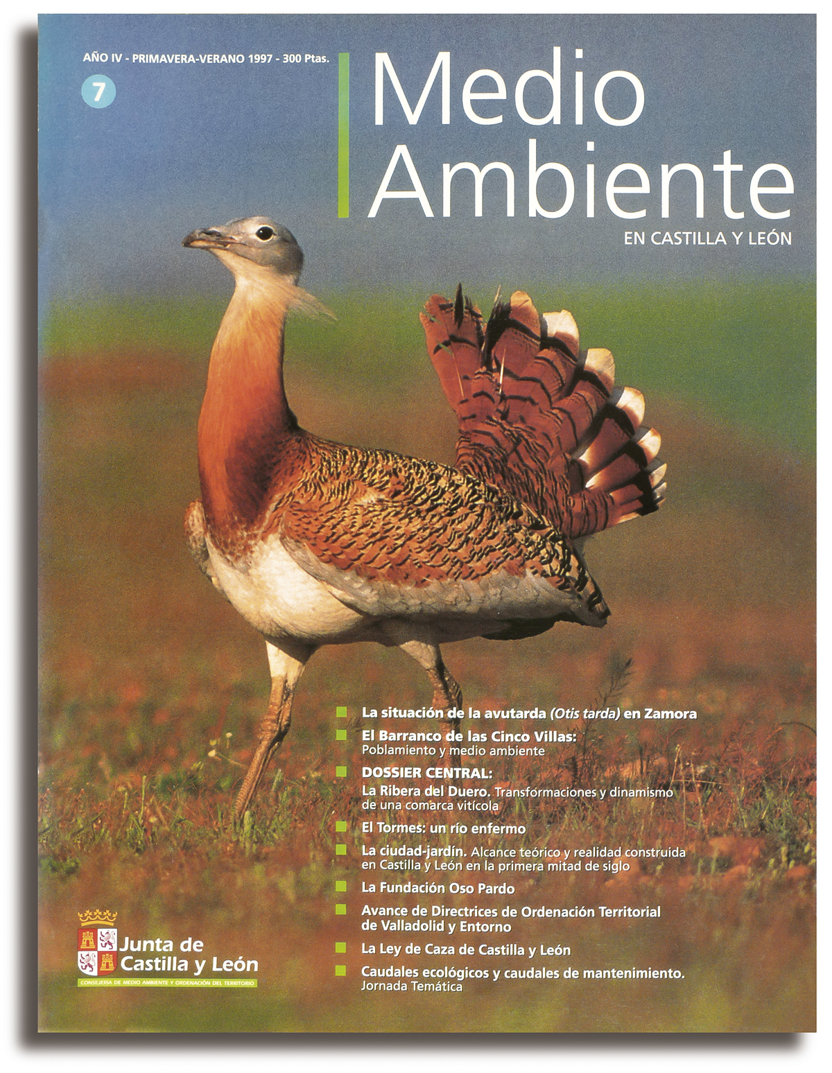 REVISTA MEDIO AMBIENTE 01