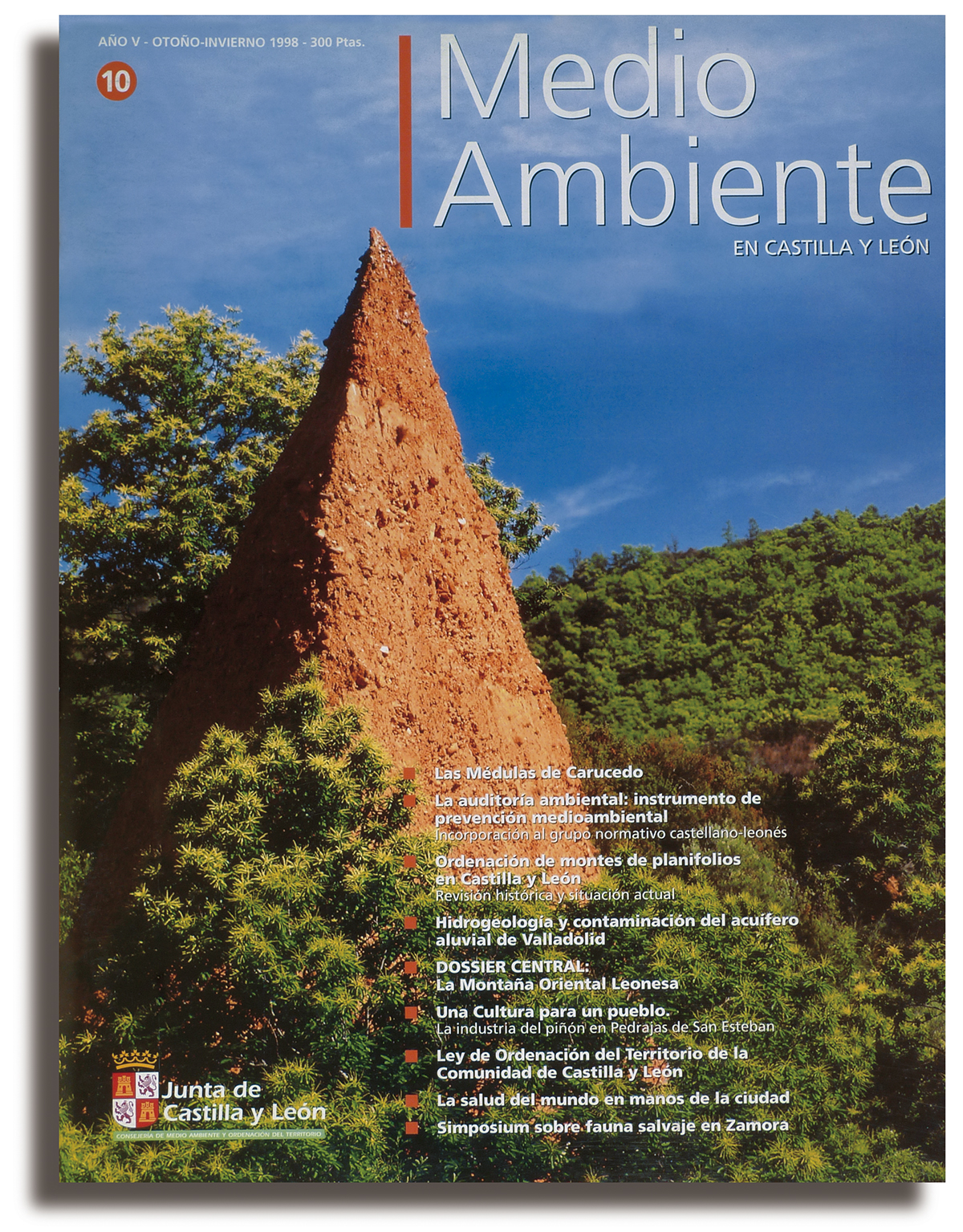 REVISTA MEDIO AMBIENTE 02