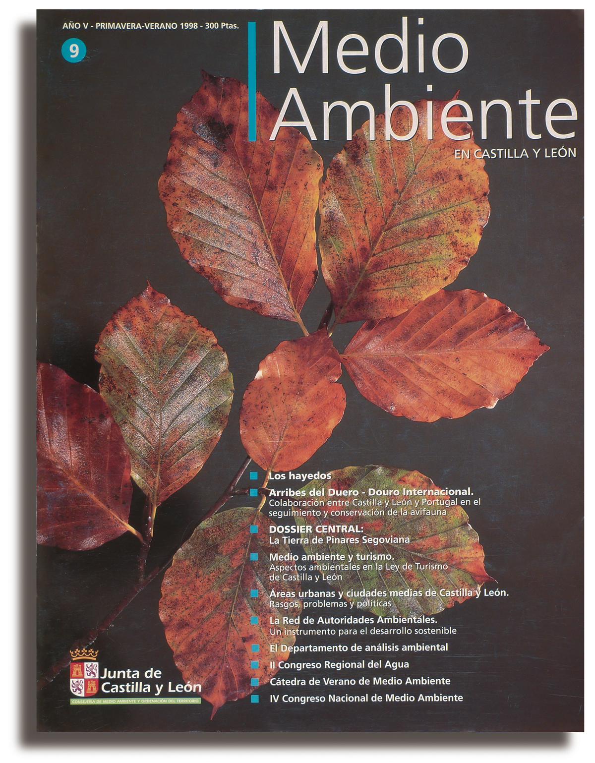 REVISTA MEDIO AMBIENTE 04