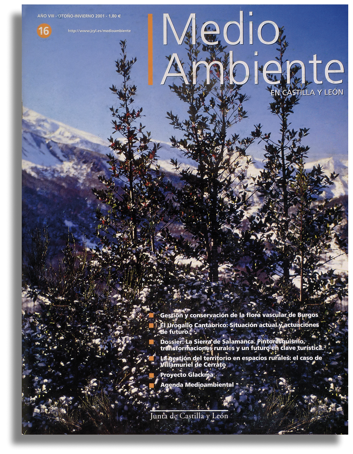 REVISTA MEDIO AMBIENTE 06